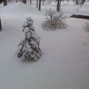 Meet your Posher, Janni